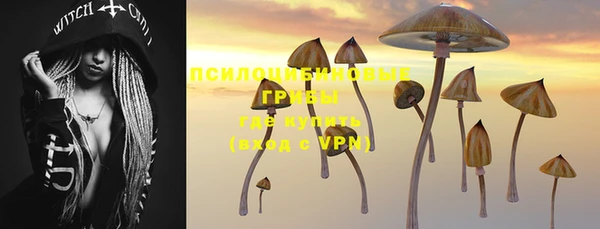 бутират Белокуриха