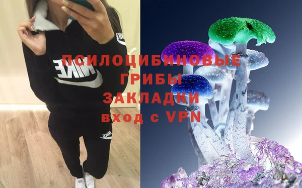 марки nbome Богородицк