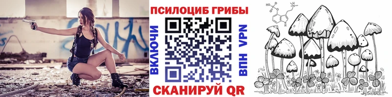 Галлюциногенные грибы Psilocybine cubensis  Белебей 
